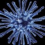 Dịch bệnh viêm phổi do virus corona: Những điều cần biết, triệu chứng và cách phòng ngừa